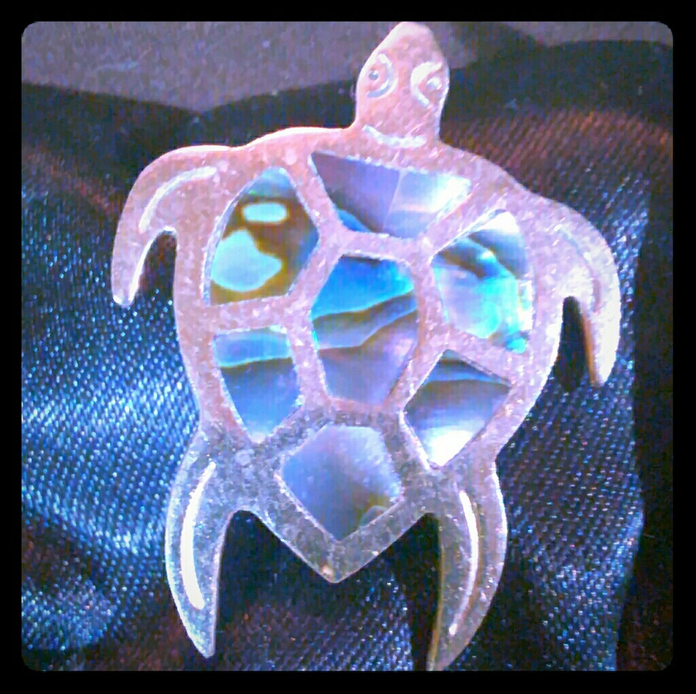 Alpaca Mexico signed turtle brooch
